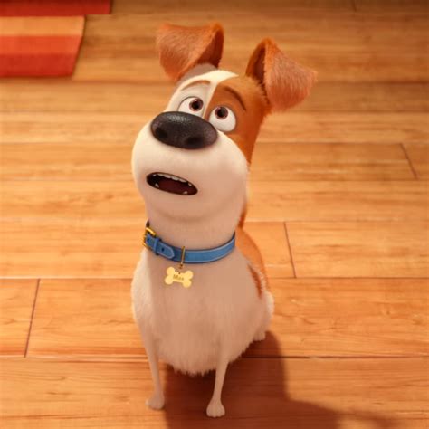 Pin by 𝕂𝕒𝕝𝕚𝕟𝕒ღ on Film Pets🦋 | Secret life of pets, Pets movie, Pet max