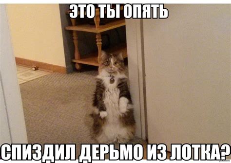Признавайся! | Пикабу