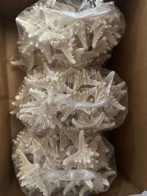 Sea Stars - Darlene's Shells