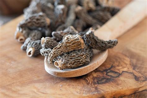 Dry Morel Mushrooms on Wooden Platter. Close-up of Textured Morel