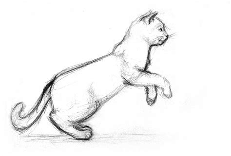 Cat Jumping Drawing at PaintingValley.com | Explore collection of Cat ...