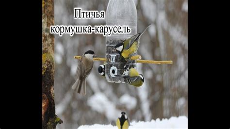 Птичья кормушка карусель - YouTube