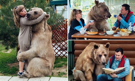 Pet Bear - Anna Blog