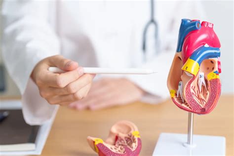 Beneath The Surface: 5 Silent Symptoms Of Atherosclerosis