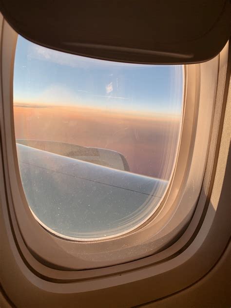 life is unpredictable, but one thing i can always... : f l o u r i s h