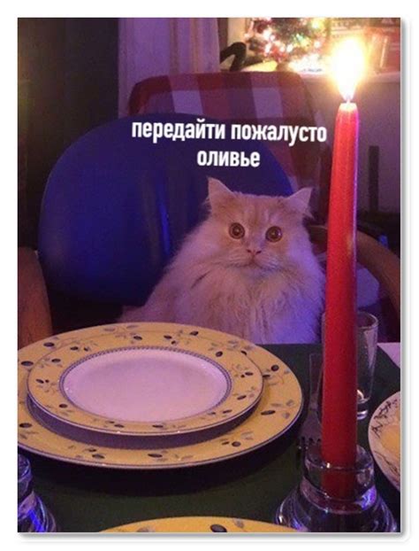 Новогодние картинки на аву для девушек (36 фото)