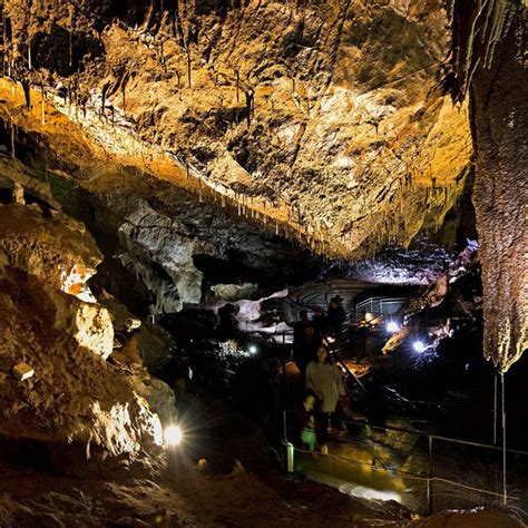 Crag Cave – Visit Underground with ABIS