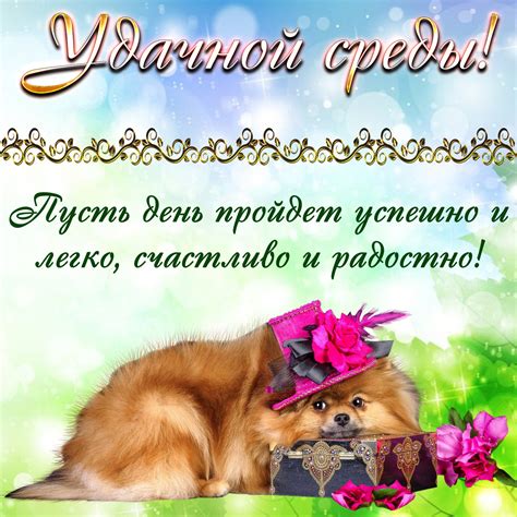 Открытка - пожелание удачной среды и милая собачка