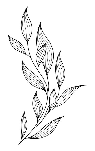 Premium Vector | Line art elegant leaves in engraving style