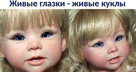 Живые глазки - глаза для игрушек, кукол, украшений, глаза животных ...