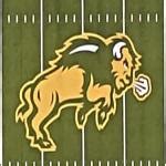 North Dakota State Bison in Fargo, ND (Google Maps)