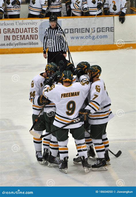 NCAA Hockey Goal Celebration Editorial Image - Image of play, college ...