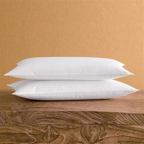 SILUI Extra Flat Soft Thin Pillows Queen Size Set of 2 Pack Bed Pillow