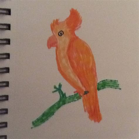Beautiful Bird Drawings and Artworks
