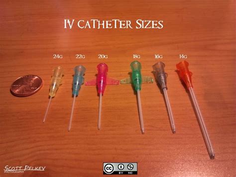 Iv Catheter Size Chart