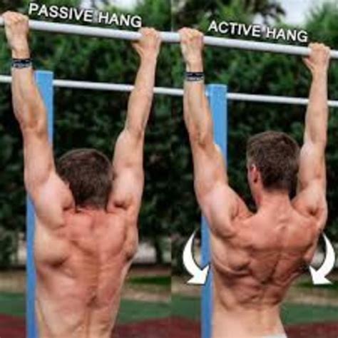 Active Hang by Coach Reggie :) - Exercise How-to - Skimble