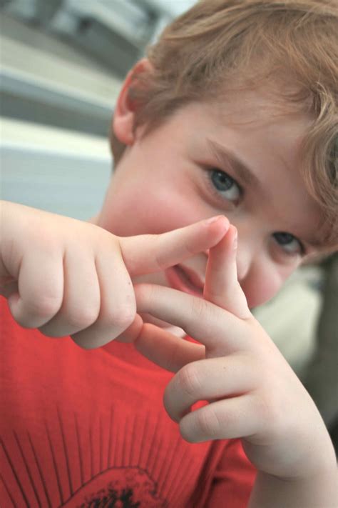 Lemon foods taste test science investigation – Artofit