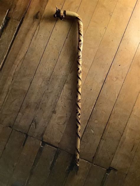 CANNE D’ARMAILLI de la Gruyère | Acheter sur Ricardo