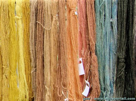 Colorant vital : définition et explications