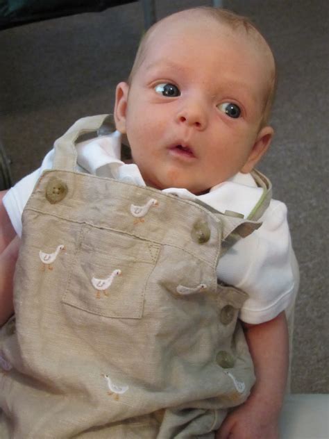 Walking the Vegan Line