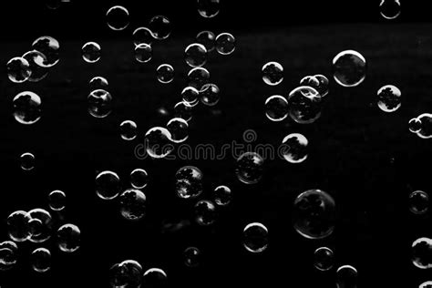 Beautiful Abstract Texture Colorful Black and White Bubbles on the Back ...