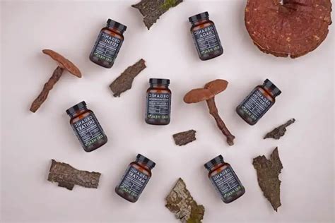 Die besten Cordyceps 2024 - Test & Testsieger