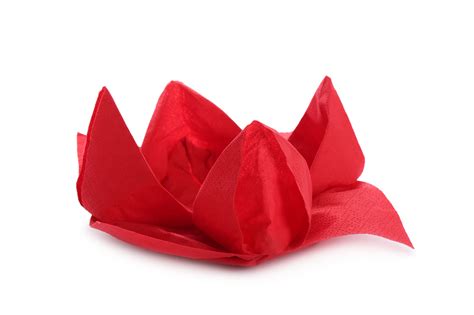 Lotus Flower Napkin Fold at Joe Jennings blog