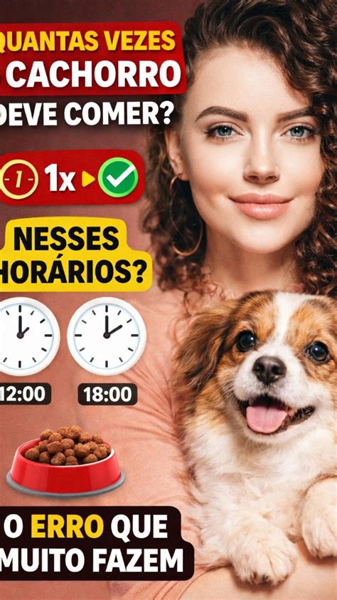 Quantos Dias Um Cao Pode Ficar Sem Comer - Cachorro Pode Ficar Quanto Tempo Sem Comer