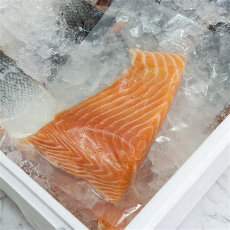 Norwegian Atlantic Salmon | Salmon Sashimi Singapore