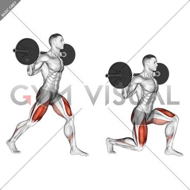 Barbell Split Squat