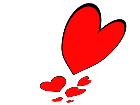 vectors heart flying  head