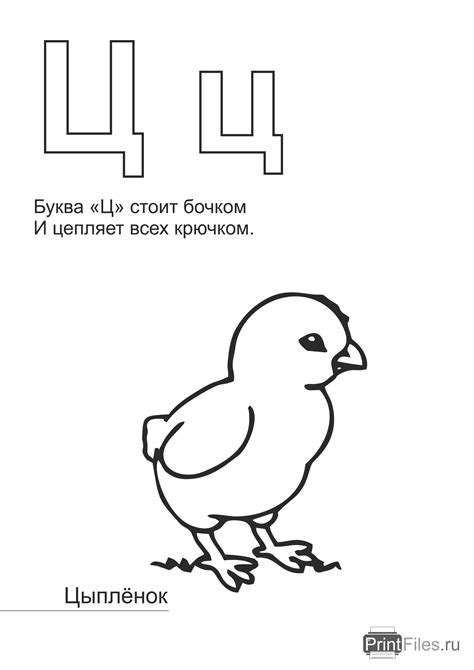 Скачать и распечатать раскраску на букву Ц с цыпленком - Файлы для ...