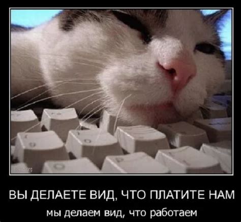 Анекдоты про работу : Самые смешные до слез