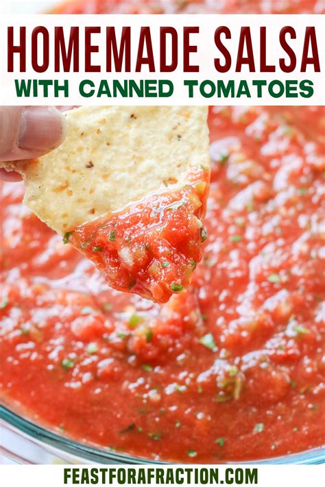 Easy Homemade Salsa Using Canned Tomatoes : Ultimate Tomato Salsa ...