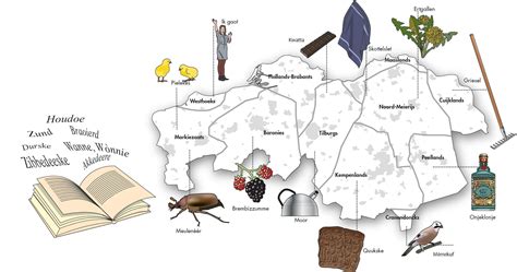 Brabants erfgoed in cijfers - Erfgoed Brabant Academie
