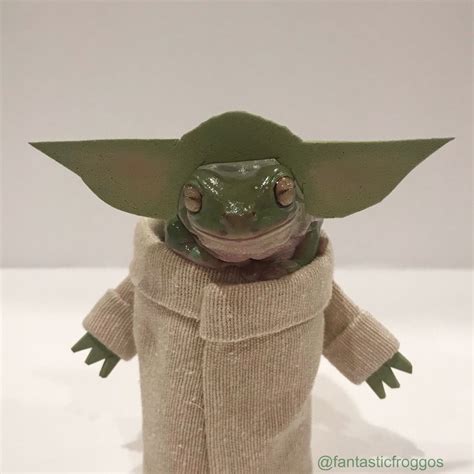 Frog Dressed as Baby Yoda : BabyYoda