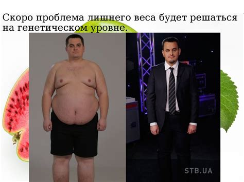Польза и вред ГМО - презентация онлайн