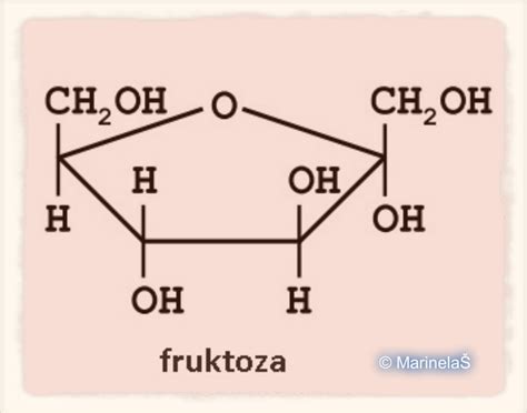 Epigenetički utjecaj fruktoze – Nutricionizam.com
