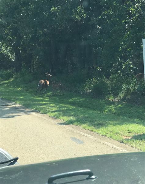 Arcadia Lake Camping | Edmond, Oklahoma