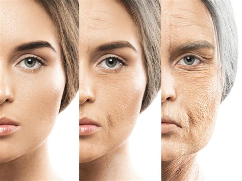 Loss of Menin helps drive the aging process, and D-Serine can reverse ...