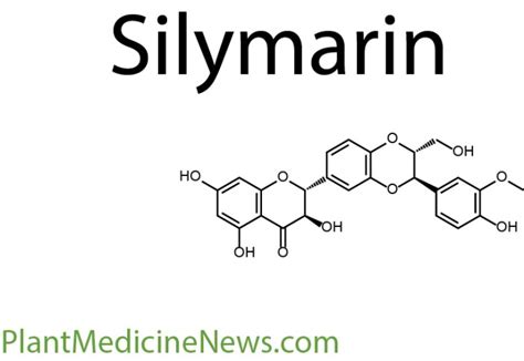 Silymarin - Plant Medicine News