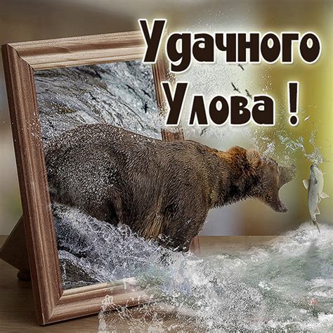 Открытки с рыбацкими пожеланиями для отличной рыбалки