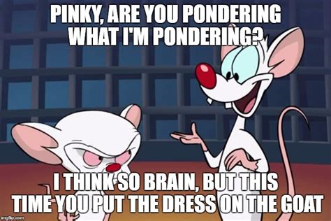 Image tagged in pinky and the brain - Imgflip