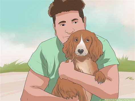 how to give dog away