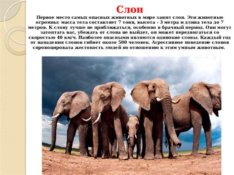 "Самые опасные животные"
