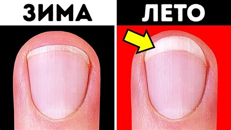 41 факт о нашем теле, удививший даже моего учителя биологии - YouTube