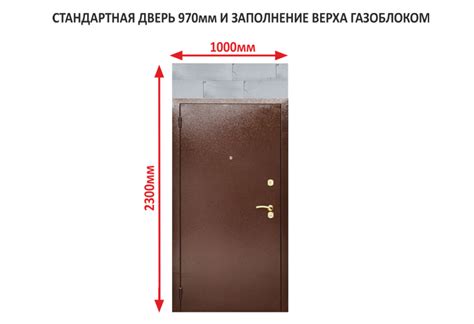 какие размеры входных дверей стандартные