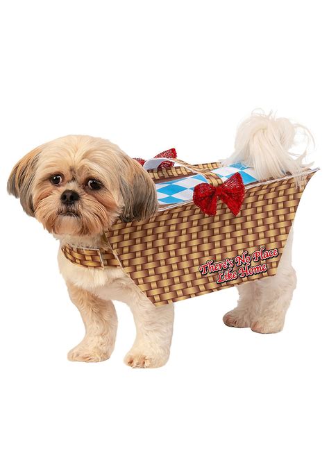 Dog Wizard of Oz Toto in Basket Costume