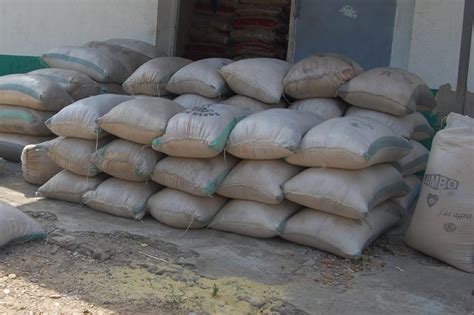 Niger/Kogi customs intercept 79 bags of foreign rice, despite border ...