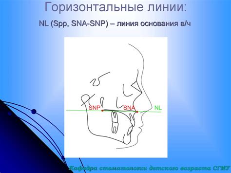 Анализ ТРГ в клинике ортодонтии - презентация онлайн
